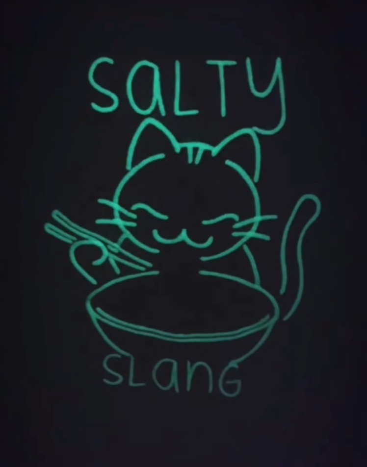 SALTY SLANG  NOODLE CAT ZIP HOODIE SLU225TC09-2020